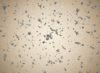PM2.5 & Fine Particles